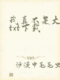 我真不是大佬 txt下载