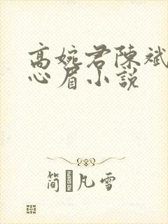 高婉君陈斌和赵心眉小说