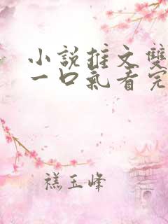 小说推文双男主一口气看完系列已完结