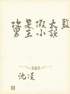 攻是假太监的双男主小说