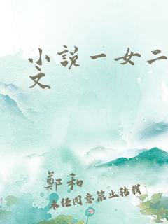 小说一女二夫宠文