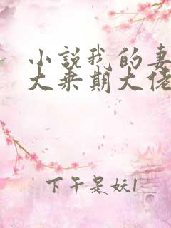 小说我的妻子是大乘期大佬txt下载