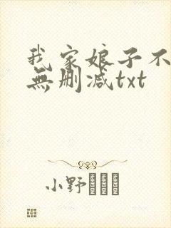 我家娘子不对劲无删减txt