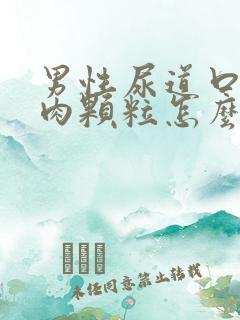 男性尿道口有小肉颗粒怎么回事