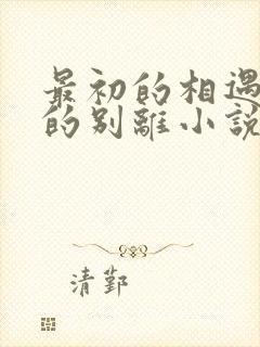 最初的相遇最后的别离小说