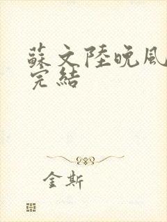 苏文陆晚风小说完结