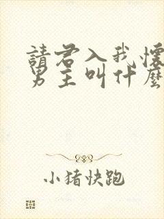 请君入我怀短剧男主叫什么