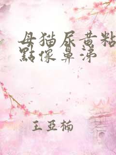 母猫尿黄粘稠有点像鼻涕