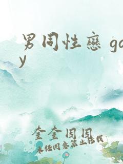 男同性恋 gay