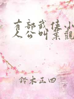 有部武侠小说主人公叫叶观的小说