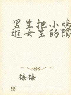 男生把小鸡鸡插进女生的阴道里