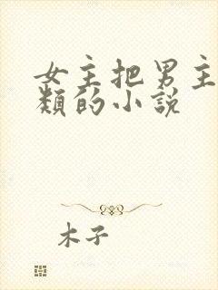 女主把男主囚禁类的小说