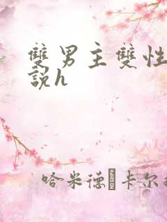 双男主双性人小说h