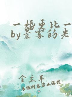 一婚更比一婚高by晨雾的光类似的小说