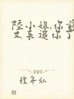 陆小姐,你前夫又来追你了短剧