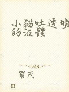 小猫吐透明粘稠的液体