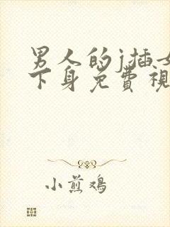 男人的j插女人下身免费视频