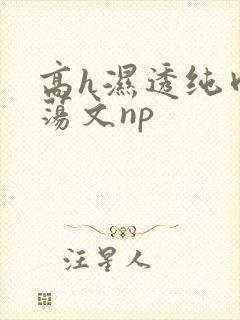 高h湿透纯肉放荡文np
