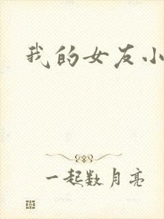 我的女友小莎