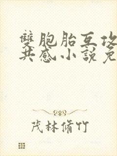 双胞胎互攻神秘共感小说免费阅读