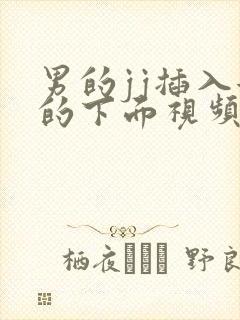 男的jj插入女的下面视频