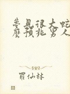 梦见很大蛇是什么预兆男人周公解梦