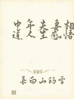 中年夫妻相处之道人生感悟