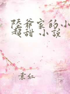 陆爷家的小可爱超甜 小说