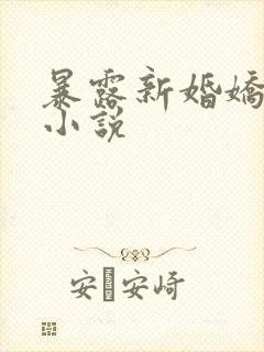 暴露新婚娇妻的小说