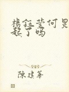 杨钰莹何炅在一起了吗