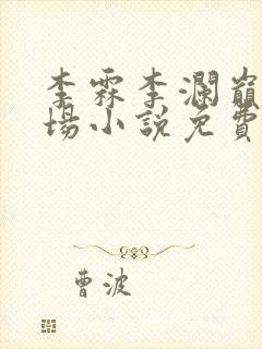 李霖李澜巅峰官场小说免费阅读