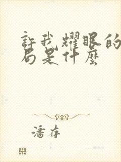 许我耀眼的大结局是什么