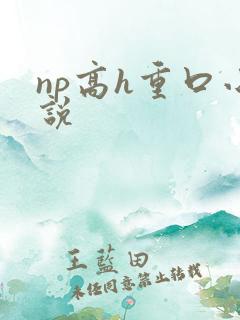 np高h重口小说
