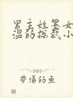 男主姓墨女主姓温的总裁小说