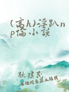 (高h)淫趴np伦小说