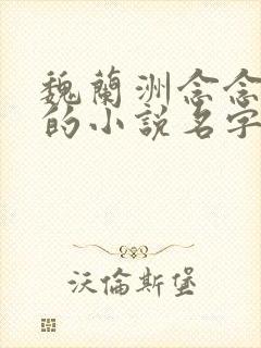 魏兰洲念念沈婉的小说名字