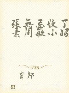 张无忌收了殷素素周敏小昭的小说