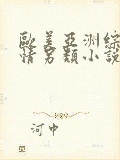 欧美亚洲综合激情另类小说