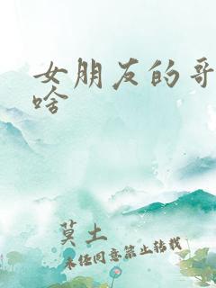 女朋友的哥哥叫啥