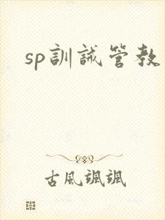 sp训诫管教文