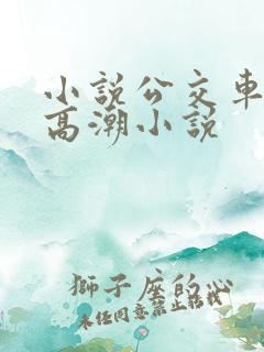 小说公交车被上高潮小说