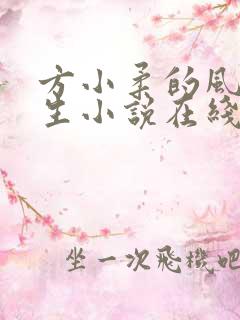 方小柔的风流人生小说在线观看全文