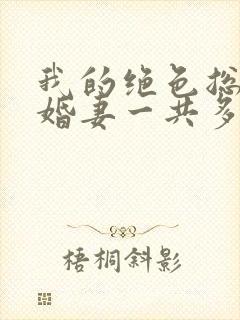 我的绝色总裁未婚妻一共多少章