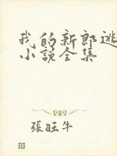 我的新郎逃婚了小说全集