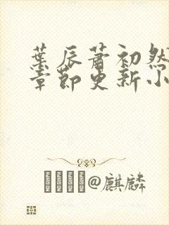 叶辰萧初然最新章节更新小说