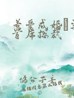 惹爱成婚·染指首席总裁