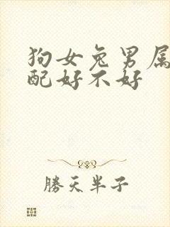 狗女兔男属相婚配好不好