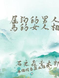 属狗的男人和属马的女人相配吗