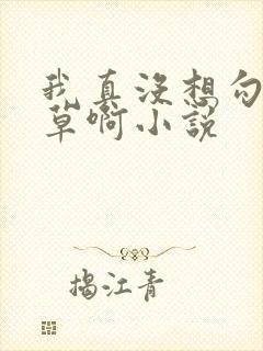 我真没想勾引校草啊小说