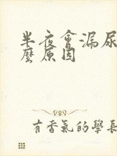 半夜会漏尿是什么原因